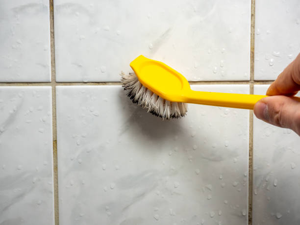 Best Mold Damage Repair  in Dunlap, IN