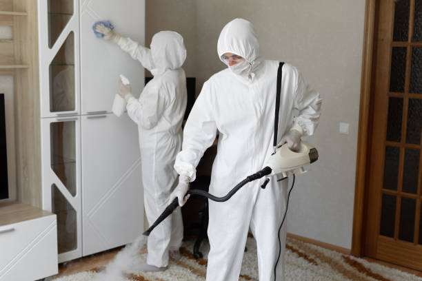 Mold Removal Process in Dunlap, IN