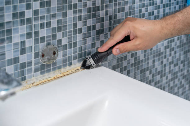 Best Residential Mold Removal  in Dunlap, IN